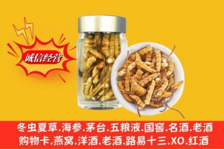 常德市汉寿名酒回收散虫草.jpg