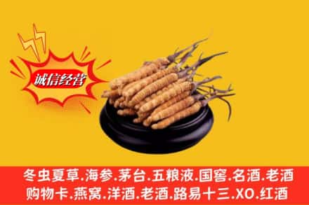 常德市汉寿名酒回收冬虫夏草.jpg
